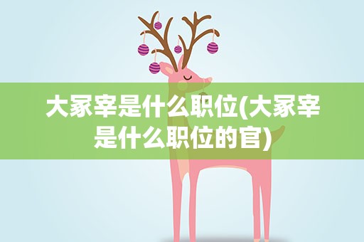 大冢宰是什么职位(大冢宰是什么职位的官)