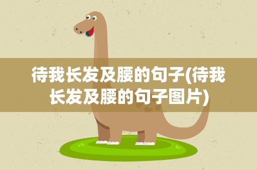 待我长发及腰的句子(待我长发及腰的句子图片)