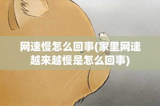 网速慢怎么回事(家里网速越来越慢是怎么回事)