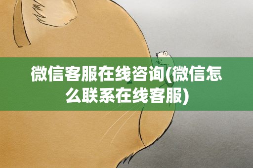 微信客服在线咨询(微信怎么联系在线客服)