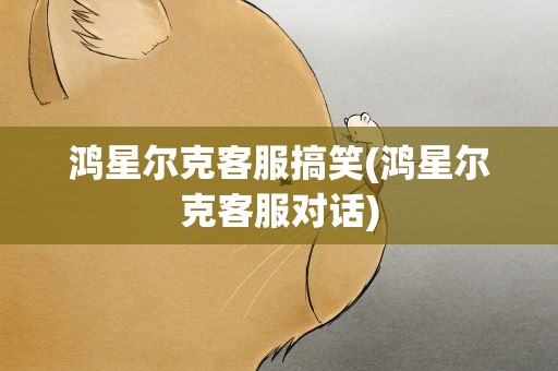 鸿星尔克客服搞笑(鸿星尔克客服对话)