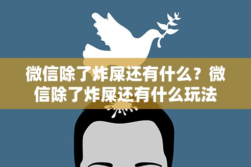 微信除了炸屎还有什么？微信除了炸屎还有什么玩法