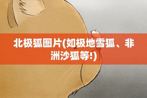 北极狐图片(如极地雪狐、非洲沙狐等!)