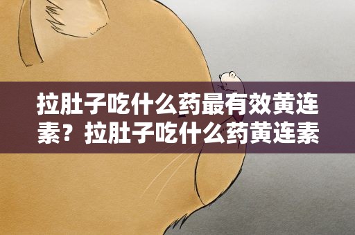 拉肚子吃什么药最有效黄连素？拉肚子吃什么药黄连素管用吗