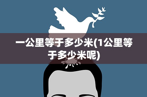 一公里等于多少米(1公里等于多少米呢)