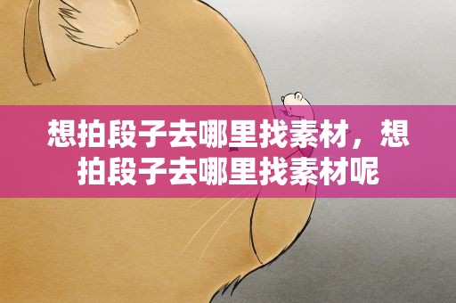 想拍段子去哪里找素材，想拍段子去哪里找素材呢
