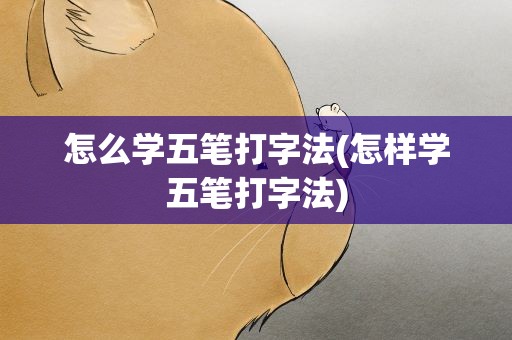怎么学五笔打字法(怎样学五笔打字法)
