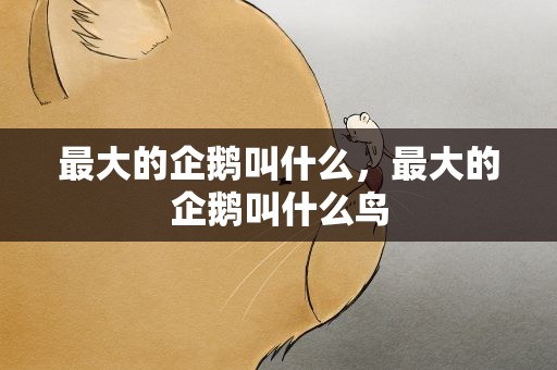 最大的企鹅叫什么，最大的企鹅叫什么鸟