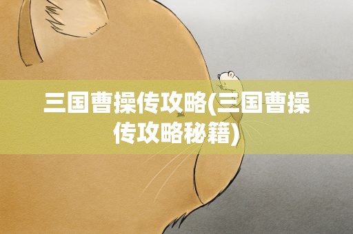 三国曹操传攻略(三国曹操传攻略秘籍)