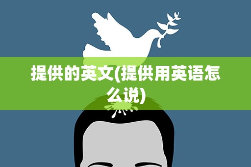 提供的英文(提供用英语怎么说)