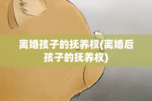 离婚孩子的抚养权(离婚后孩子的抚养权)