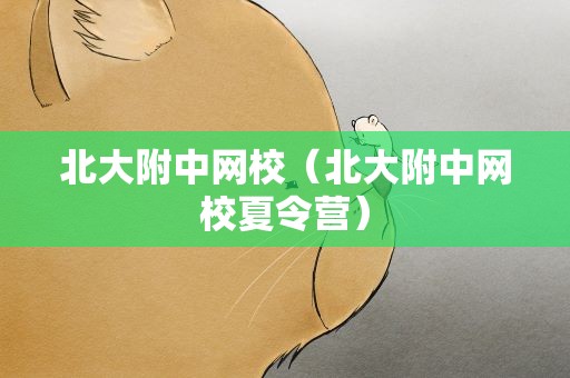 北大附中网校（北大附中网校夏令营）