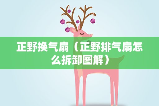 正野换气扇（正野排气扇怎么拆卸图解）