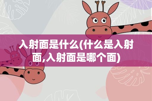 入射面是什么(什么是入射面,入射面是哪个面)