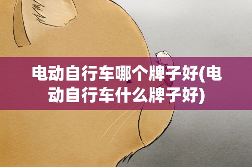 电动自行车哪个牌子好(电动自行车什么牌子好)