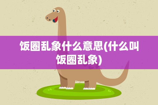 饭圈乱象什么意思(什么叫饭圈乱象)