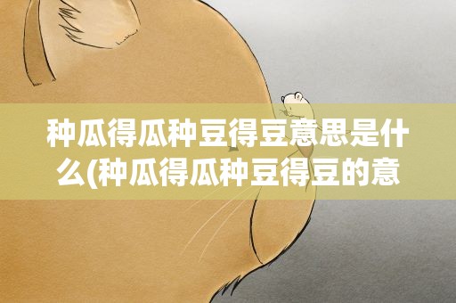 种瓜得瓜种豆得豆意思是什么(种瓜得瓜种豆得豆的意思是什么)