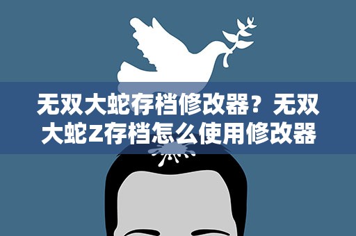 无双大蛇存档修改器？无双大蛇Z存档怎么使用修改器呢为什么打开是错误的