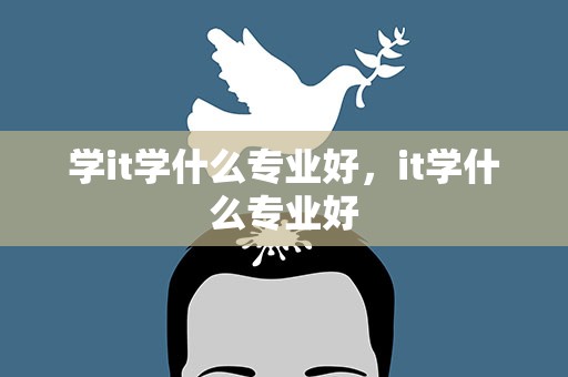 学it学什么专业好，it学什么专业好
