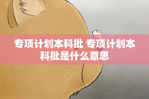 专项计划本科批 专项计划本科批是什么意思