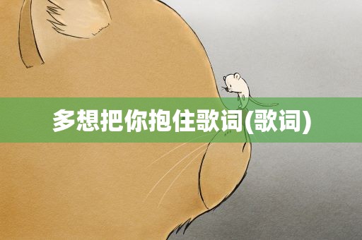 多想把你抱住歌词(歌词)