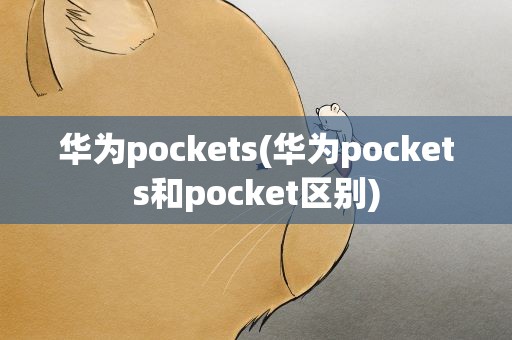 华为pockets(华为pockets和pocket区别)