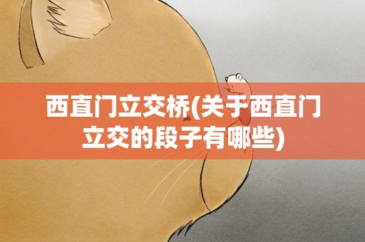 西直门立交桥(关于西直门立交的段子有哪些)