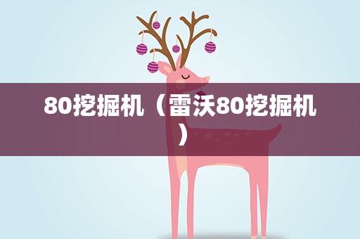 80挖掘机（雷沃80挖掘机）