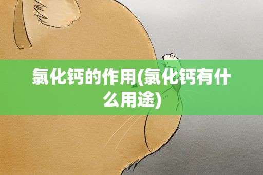 氯化钙的作用(氯化钙有什么用途)