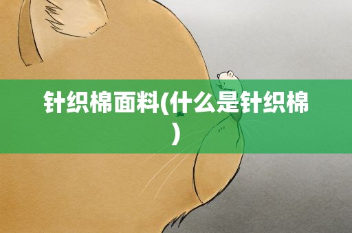 针织棉面料(什么是针织棉)