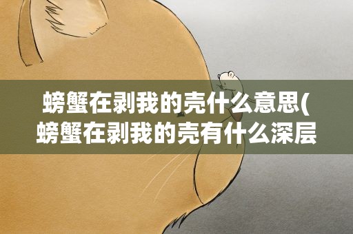 螃蟹在剥我的壳什么意思(螃蟹在剥我的壳有什么深层的意思呀)