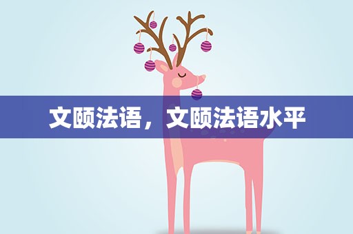 文颐法语，文颐法语水平