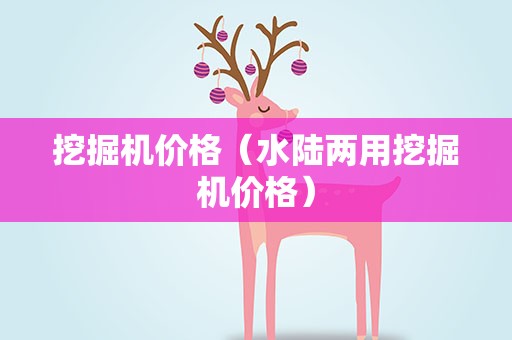 挖掘机价格（水陆两用挖掘机价格）