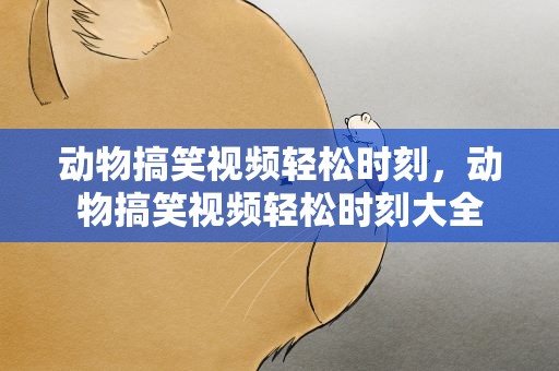 动物搞笑视频轻松时刻，动物搞笑视频轻松时刻大全