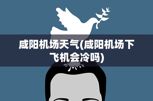 咸阳机场天气(咸阳机场下飞机会冷吗)