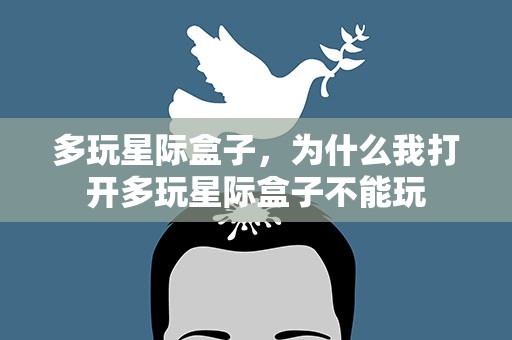多玩星际盒子，为什么我打开多玩星际盒子不能玩