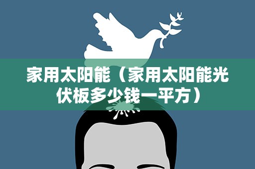 家用太阳能（家用太阳能光伏板多少钱一平方）