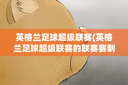英格兰足球超级联赛(英格兰足球超级联赛的联赛赛制)