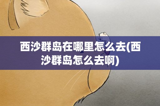 西沙群岛在哪里怎么去(西沙群岛怎么去啊)