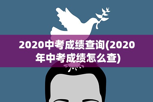 2020中考成绩查询(2020 年中考成绩怎么查)
