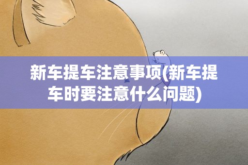 新车提车注意事项(新车提车时要注意什么问题)