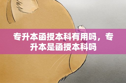 专升本函授本科有用吗，专升本是函授本科吗