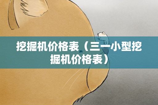 挖掘机价格表（三一小型挖掘机价格表）