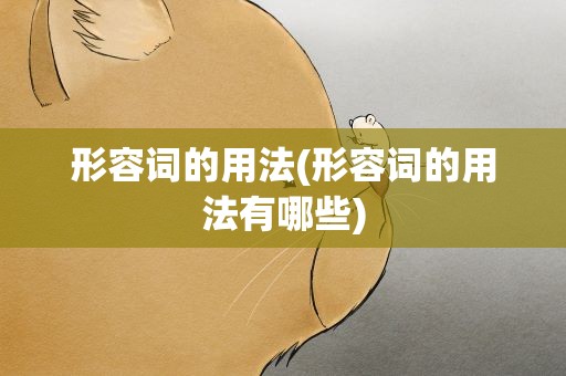 形容词的用法(形容词的用法有哪些)