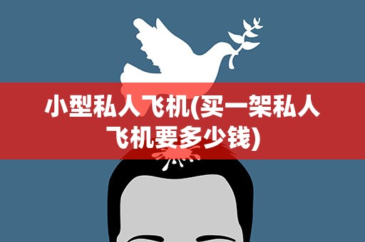 小型私人飞机(买一架私人飞机要多少钱)