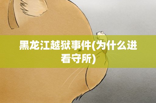 黑龙江越狱事件(为什么进看守所)