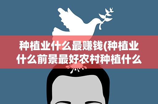 种植业什么最赚钱(种植业什么前景最好农村种植什么作物最赚钱)