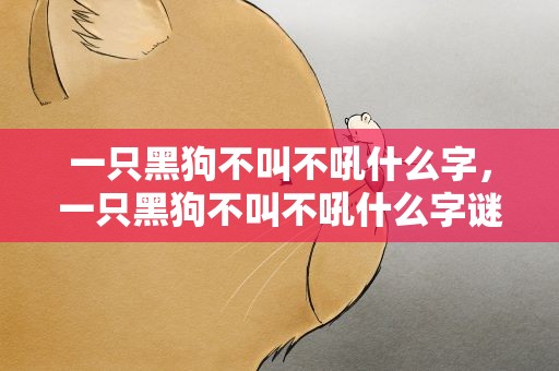 一只黑狗不叫不吼什么字，一只黑狗不叫不吼什么字谜