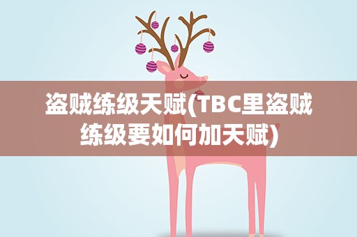 盗贼练级天赋(TBC里盗贼练级要如何加天赋)