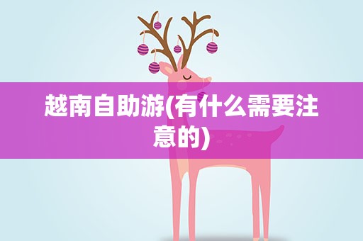 越南自助游(有什么需要注意的)